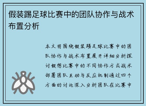 假装踢足球比赛中的团队协作与战术布置分析