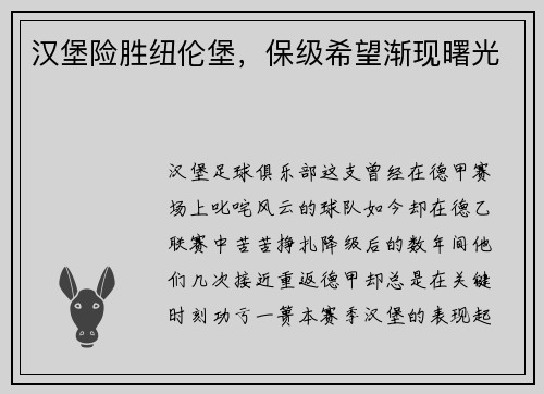 汉堡险胜纽伦堡，保级希望渐现曙光