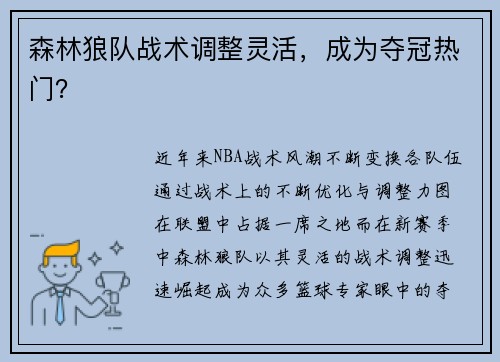 森林狼队战术调整灵活，成为夺冠热门？