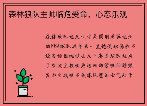森林狼队主帅临危受命，心态乐观