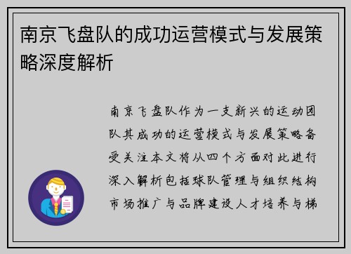 南京飞盘队的成功运营模式与发展策略深度解析