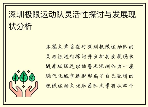 深圳极限运动队灵活性探讨与发展现状分析